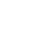 ṩ(w)